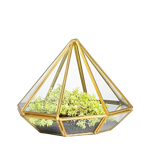 NCYP Handgemachtes Gold Offenes Glas Geometrisches Terrarium Messing Diamant Sukkulenten Farn Moos Pflanze Ausstellungsbehälter Balkon Kleines Pflanzgefäß Innen Herzstück (Keine Pflanzen) von NCYP