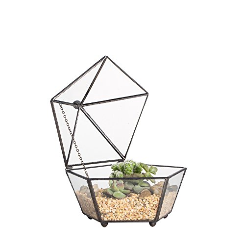 NCYP Kleine Pentagon Form Glas Geometrische Sukkulente Terrarium Fensterbank Pflanze Übertopf Blumentopf mit Swing Deckel, Einrichtung Mittelpunkt für Hochzeit Kaffee Tisch (ohne Pflanzen) von NCYP