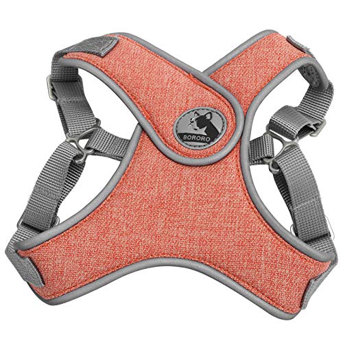 Pet Leash Weste Reflektierendes Geschirr, Verstellbarer atmungsaktiver Laufgurt für Katzen und Hunde(XS-Orange) von NDNCZDHC