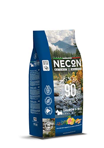 NECON PET Food Natural Wellness Lachs und Reis 2 kg, Hundefutter bis 10 kg Gewicht, Vitaminreiche Kroketten mit 90% Protein tierischen Ursprungs, Made in Italy von NECON