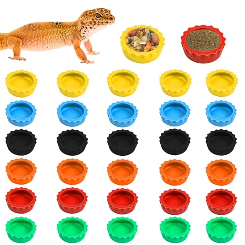 Futter- und Wassernapf, bunte Wassernapf, Reptilien-Futterschale für Schildkröten, kleine Haustiere und Krabben, 30 Stück (mehrfarbig) von NEETUE