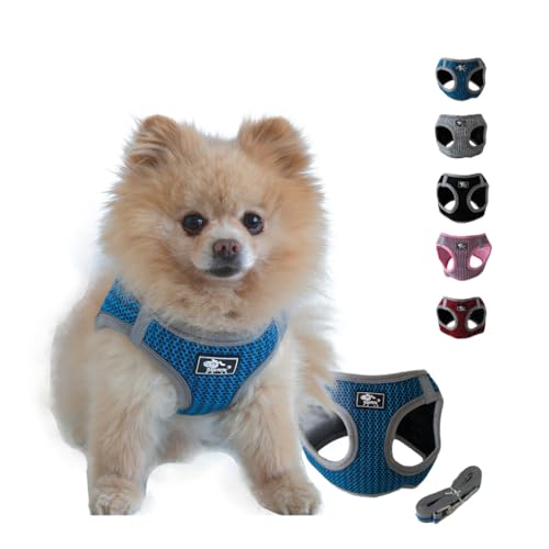 NEEZ Premium Geschirr für Katzen und kleine Hunde mit Leine | Super Bequeme Katzenweste | Ausbruchsicher und atmungsaktiv | Farbe: Blau/Grau Größe: L NEEZ Premium Geschirr für Katzen und kleine Hunde mit Leine | Super Bequeme Katzenweste | Ausbruchsicher und atmungsaktiv | Farbe: Blau/Grau Größe: L von NEEZ