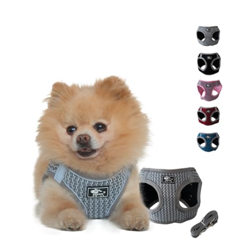 NEEZ Premium Geschirr für Katzen und kleine Hunde mit Leine | Super Bequeme Katzenweste | Ausbruchsicher und atmungsaktiv | Farbe: Grau/Schwarz Größe: XS NEEZ Premium Geschirr für Katzen und kleine Hunde mit Leine | Super Bequeme Katzenweste | Ausbruchsicher und atmungsaktiv | Farbe: Grau/Schwarz Größe: XS von NEEZ