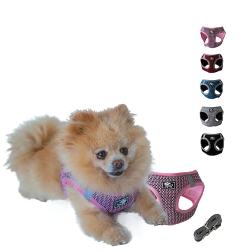 NEEZ Premium Geschirr für Katzen und kleine Hunde mit Leine | Super Bequeme Katzenweste | Ausbruchsicher und atmungsaktiv | Farbe: Pink/Grau Größe: L NEEZ Premium Geschirr für Katzen und kleine Hunde mit Leine | Super Bequeme Katzenweste | Ausbruchsicher und atmungsaktiv | Farbe: Pink/Grau Größe: L von NEEZ