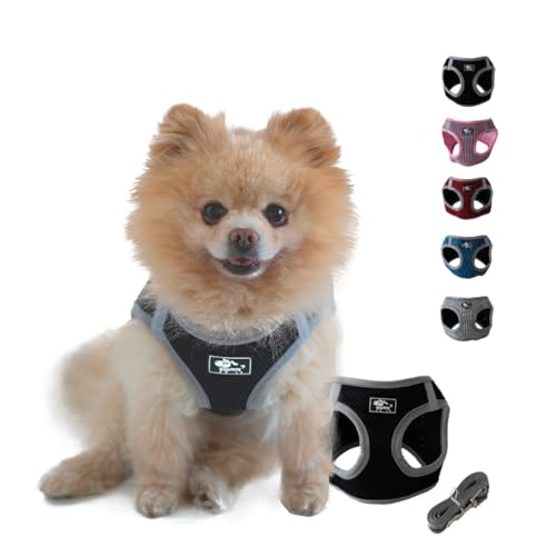 NEEZ Premium Geschirr für Katzen und kleine Hunde mit Leine | Super Bequeme Katzenweste | Ausbruchsicher und atmungsaktiv | Farbe: Schwarz/Grau Größe: XS NEEZ Premium Geschirr für Katzen und kleine Hunde mit Leine | Super Bequeme Katzenweste | Ausbruchsicher und atmungsaktiv | Farbe: Schwarz/Grau Größe: XS von NEEZ