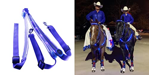 NEFTF LED-Pferde-Brustgeschirr-Halfter mit hoher Sichtbarkeit, für Nachtreiten (blau) von NEFTF