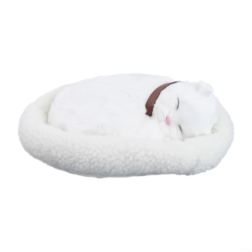 NEIQIUWING Katzenspielzeug aus weichem Plüsch für Heimdekoration und Spielbedürfnisse (Perserkatze) von NEIQIUWING