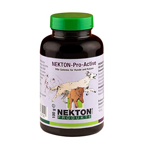 NEKTON-Pro-Active | Zur Unterstützung für den Bewegungsapparat von Hunden und Katzen | Made in Germany (100g) von NEKTON