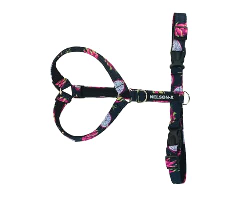NELSON-X Soft Guard HUNDEGESCHIRR, GEFÜTTERT MIT WEICHEM MESH, KOMFORTABEL, LANGLEBIG (M, DRACHENFRUCHT) von NELSON-X