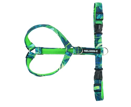 NELSON-X Soft Guard HUNDEGESCHIRR, GEFÜTTERT MIT WEICHEM MESH, KOMFORTABEL, LANGLEBIG (M, Monster-Blume) von NELSON-X