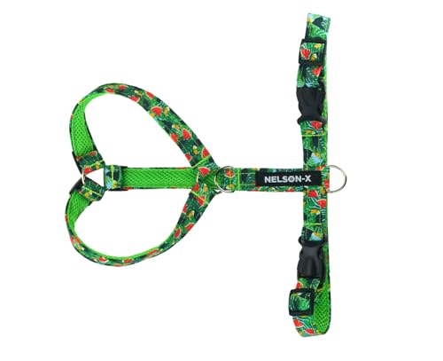 NELSON-X Soft Guard HUNDEGESCHIRR, GEFÜTTERT MIT WEICHEM MESH, KOMFORTABEL, LANGLEBIG (XXL, Wassermelone) von NELSON-X