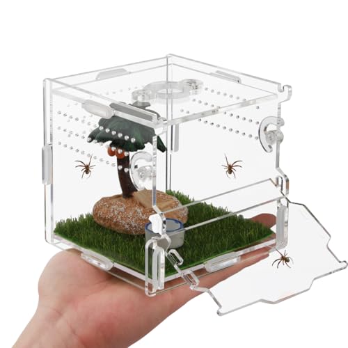 Reptilien-Terrarium, Vogelspinnen-Gehege, Springspinnengehege für Vogelspinnen, Skorpionschlinge, Isopoden, Schnecken, Reptilien, Wirbellosen, Zubehör (10,2 x 10,2 x 10,2 cm) von NENHEIONI
