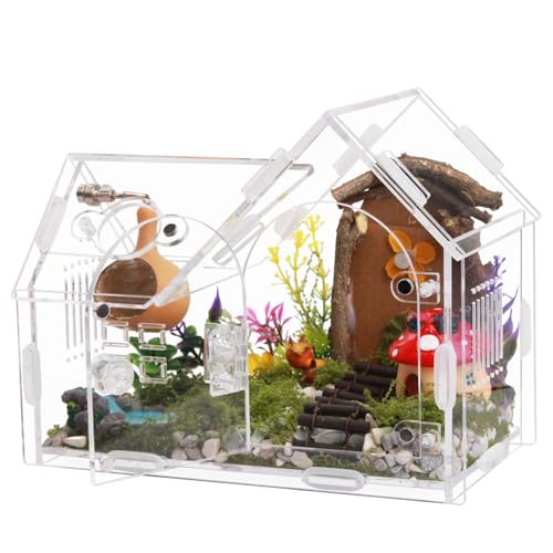 Springspinnen-Terrarium aus Acryl mit Magnetverschluss, 14,2 cm hoch, transparentes Gehege für Vogelspinnen, Einsiedlerkrebse & kleine Insekten, sicherer belüfteter Lebensraum mit einfacher Springspinnen-Terrarium aus Acryl mit Magnetverschluss, 14,2 cm hoch, transparentes Gehege für Vogelspinnen, Einsiedlerkrebse & kleine Insekten, sicherer belüfteter Lebensraum mit einfacher von NENHEIONI