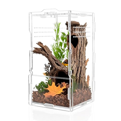 Terrarium für Reptilien, Acryl, 10,2 x 10,2 x 20,3 cm, Frontöffnung, mit Drehverschluss und magnetischer Futtertür, kleiner Spinnenkäfig für springende Spinnen, Skorpion, Isopoden, Schnecken Terrarium für Reptilien, Acryl, 10,2 x 10,2 x 20,3 cm, Frontöffnung, mit Drehverschluss und magnetischer Futtertür, kleiner Spinnenkäfig für springende Spinnen, Skorpion, Isopoden, Schnecken von NENHEIONI