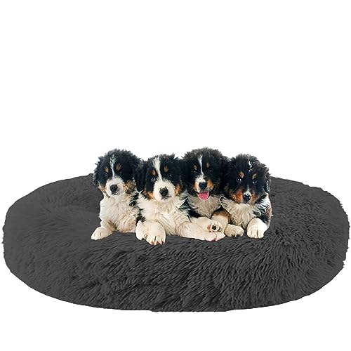 NENIUX Beruhigende Hundebetten, Donut-Katzenbetten, rundes Welpenbett, maschinenwaschbar, Katzenbett, Nestkissen mit rutschfester Unterseite für Katzen und kleine/mittelgroße Hunde, 120 cm, Dunkelgrau NENIUX Beruhigende Hundebetten, Donut-Katzenbetten, rundes Welpenbett, maschinenwaschbar, Katzenbett, Nestkissen mit rutschfester Unterseite für Katzen und kleine/mittelgroße Hunde, 120 cm, Dunkelgrau von NENIUX