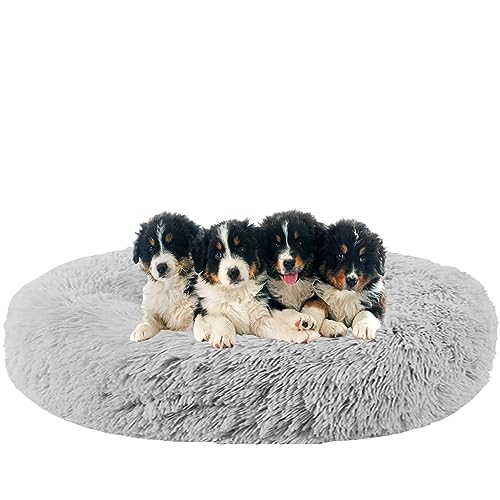 NENIUX Beruhigende Hundebetten, Donut-Katzenbetten, rundes Welpenbett, maschinenwaschbar, Katzenbett, Nestkissen mit rutschfester Unterseite für Katzen und kleine/mittelgroße Hunde, 140 cm, Grau NENIUX Beruhigende Hundebetten, Donut-Katzenbetten, rundes Welpenbett, maschinenwaschbar, Katzenbett, Nestkissen mit rutschfester Unterseite für Katzen und kleine/mittelgroße Hunde, 140 cm, Grau von NENIUX