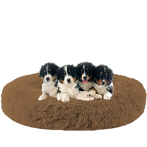 NENIUX Beruhigende Hundebetten, Donut-Katzenbetten, rundes Welpenbett, maschinenwaschbar, Katzenbett, Nestkissen mit rutschfester Unterseite für Katzen und kleine/mittelgroße Hunde, 150 cm, Khaki NENIUX Beruhigende Hundebetten, Donut-Katzenbetten, rundes Welpenbett, maschinenwaschbar, Katzenbett, Nestkissen mit rutschfester Unterseite für Katzen und kleine/mittelgroße Hunde, 150 cm, Khaki von NENIUX