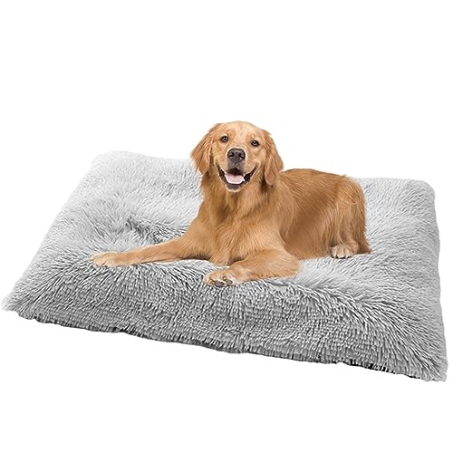 NENIUX Calming Dog Crate Mattress Pet Bed, Washable Dog Mat Dog Crate Bed Dog Pillow Bed Dog Bed Pet Cushion with Anti Slip Bottom for Large Medium Small Dogs&Cats,70x50x8cm,Grey NENIUX Calming Dog Crate Mattress Pet Bed, Washable Dog Mat Dog Crate Bed Dog Pillow Bed Dog Bed Pet Cushion with Anti Slip Bottom for Large Medium Small Dogs&Cats,70x50x8cm,Grey von NENIUX