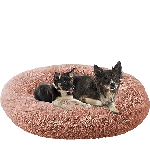 NENIUX Donut Haustierbetten, rund, maschinenwaschbar, warmes Welpenbett, Nestkissen, Anti-Angst-Katzenbetten mit rutschfester Unterseite für kleine, mittelgroße und große Katzen, Hunde, 120 cm, NENIUX Donut Haustierbetten, rund, maschinenwaschbar, warmes Welpenbett, Nestkissen, Anti-Angst-Katzenbetten mit rutschfester Unterseite für kleine, mittelgroße und große Katzen, Hunde, 120 cm, von NENIUX