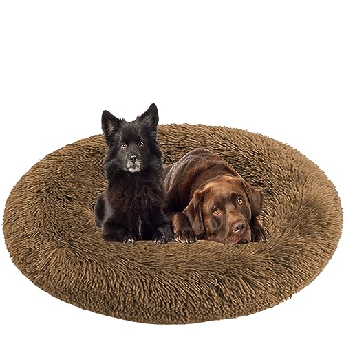 NENIUX Donut Hunde- und Katzenbetten, beruhigendes Haustierbett, Hundekissen, Welpenbetten, rundes Hundesofa, Betten mit rutschfester Unterseite für kleine, mittelgroße, mittelgroße Hunde, Katzen, von NENIUX