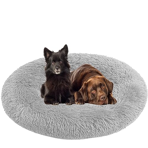NENIUX Donut Hunde- und Katzenbetten, beruhigendes Haustierbett, Hundekissen, Welpenbetten, rundes Hundesofa, Betten mit rutschfester Unterseite für kleine, mittelgroße, mittelgroße Hunde, Katzen, NENIUX Donut Hunde- und Katzenbetten, beruhigendes Haustierbett, Hundekissen, Welpenbetten, rundes Hundesofa, Betten mit rutschfester Unterseite für kleine, mittelgroße, mittelgroße Hunde, Katzen, von NENIUX