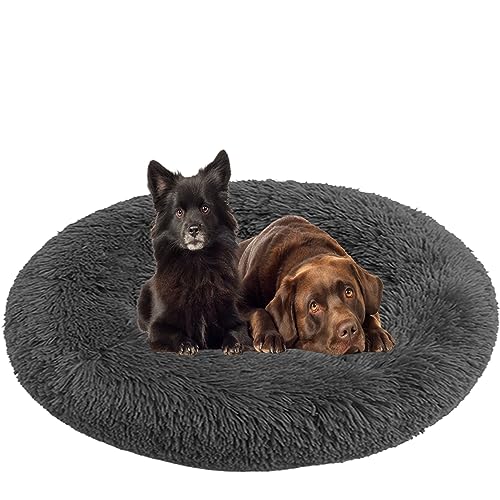 NENIUX Donut Hunde- und Katzenbetten, beruhigendes Haustierbett, Hundekissen, Welpenbetten, rundes Hundesofa, Betten mit rutschfester Unterseite für kleine, mittelgroße, mittelgroße Hunde, Katzen, NENIUX Donut Hunde- und Katzenbetten, beruhigendes Haustierbett, Hundekissen, Welpenbetten, rundes Hundesofa, Betten mit rutschfester Unterseite für kleine, mittelgroße, mittelgroße Hunde, Katzen, von NENIUX