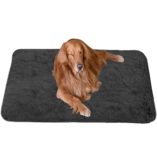 NENIUX Haustierbett, Hundebett, Hundekäfig-Matratze, Anti-Angst, waschbar, Hundekissen, Hundekissen, Katzenkissen, Haustierkissen für große, mittelgroße und kleine Hunde, 50 x 40 x 5 cm, Dunkelgrau NENIUX Haustierbett, Hundebett, Hundekäfig-Matratze, Anti-Angst, waschbar, Hundekissen, Hundekissen, Katzenkissen, Haustierkissen für große, mittelgroße und kleine Hunde, 50 x 40 x 5 cm, Dunkelgrau von NENIUX