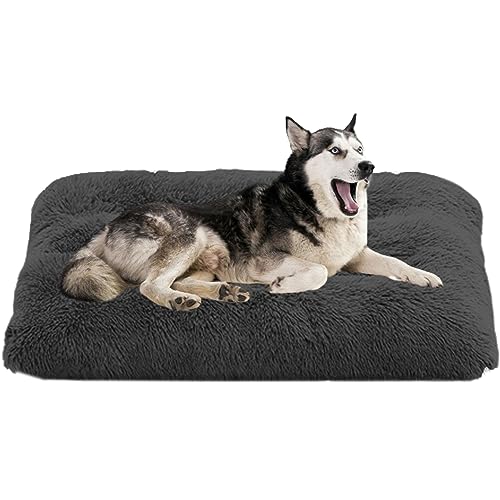 NENIUX Hundebett für mittelgroße und kleine Hunde und Katzen, waschbar, Hundebetten, Haustierbetten, Hundekissen, Hundekäfig-Pad mit rutschfester Unterseite, selbstwärmende Welpenmatte, NENIUX Hundebett für mittelgroße und kleine Hunde und Katzen, waschbar, Hundebetten, Haustierbetten, Hundekissen, Hundekäfig-Pad mit rutschfester Unterseite, selbstwärmende Welpenmatte, von NENIUX