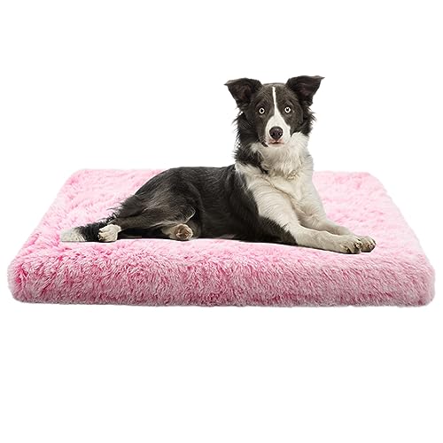 NENIUX Linderung Stress Welpenmatte Hundebett, waschbar, Hundekäfig-Matratze, Haustierkissen, Katzenmatte, Hundematte, Zwinger-Pad mit rutschfester Unterseite für große, mittelgroße und kleine Hunde NENIUX Linderung Stress Welpenmatte Hundebett, waschbar, Hundekäfig-Matratze, Haustierkissen, Katzenmatte, Hundematte, Zwinger-Pad mit rutschfester Unterseite für große, mittelgroße und kleine Hunde von NENIUX