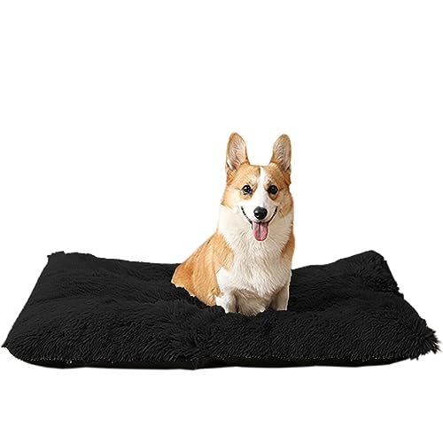 NENIUX Linderung von Stress Haustierkissen Katzenpolster Welpenbetten Gepolsterte Hundebox Matratze Hundebett Waschbar Hundekissen Bett Haustierbett Zwinger Pad mit rutschfester Unterseite für Hunde, NENIUX Linderung von Stress Haustierkissen Katzenpolster Welpenbetten Gepolsterte Hundebox Matratze Hundebett Waschbar Hundekissen Bett Haustierbett Zwinger Pad mit rutschfester Unterseite für Hunde, von NENIUX