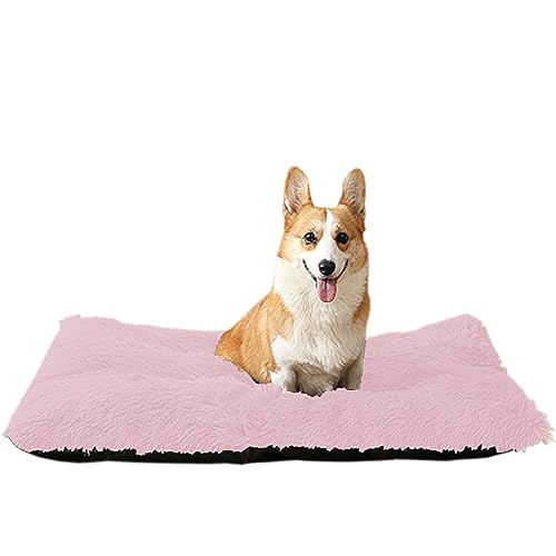 NENIUX Linderung von Stress Haustierkissen Katzenpolster Welpenbetten Gepolsterte Hundebox Matratze Hundebett Waschbares Hundekissen Bett Haustierbett Zwinger Pad mit rutschfester Unterseite für NENIUX Linderung von Stress Haustierkissen Katzenpolster Welpenbetten Gepolsterte Hundebox Matratze Hundebett Waschbares Hundekissen Bett Haustierbett Zwinger Pad mit rutschfester Unterseite für von NENIUX