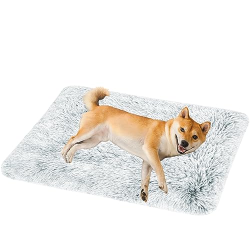 NENIUX Matratze für Hundekäfige, Katzenunterlage, Hundebetten, Hundekäfige, Hundekissen, Betten mit rutschfester Unterseite für große, mittelgroße und kleine Hunde, 50 x 40 x 5 cm, Grau NENIUX Matratze für Hundekäfige, Katzenunterlage, Hundebetten, Hundekäfige, Hundekissen, Betten mit rutschfester Unterseite für große, mittelgroße und kleine Hunde, 50 x 40 x 5 cm, Grau von NENIUX