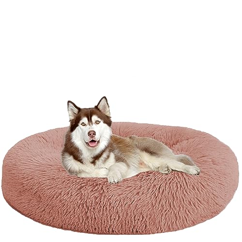 NENIUX Rundes beruhigendes Hundebett, waschbar, selbstwärmend, Donut-Plüsch-Katzenbett, Welpenkissen, Anti-Angst, Haustierbetten mit rutschfester Unterseite für kleine/mittelgroße Hunde, 120 cm, NENIUX Rundes beruhigendes Hundebett, waschbar, selbstwärmend, Donut-Plüsch-Katzenbett, Welpenkissen, Anti-Angst, Haustierbetten mit rutschfester Unterseite für kleine/mittelgroße Hunde, 120 cm, von NENIUX