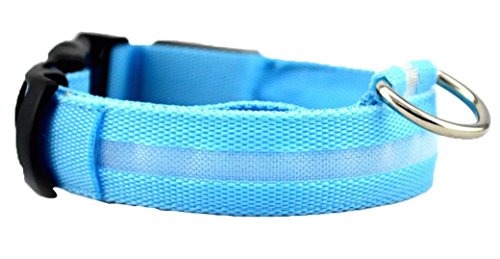 Verbessern Sie die Hunde Sichtbarkeit und Sicherheit USB Wiederaufladbare LED Hund Sicherheit Kragen - Ultra Helle LED - Keine Batterien - Großer Spaß - Ihr Hund wird mehr sichtbar & sicher Verbessern Sie die Hunde Sichtbarkeit und Sicherheit USB Wiederaufladbare LED Hund Sicherheit Kragen - Ultra Helle LED - Keine Batterien - Großer Spaß - Ihr Hund wird mehr sichtbar & sicher von NEO+