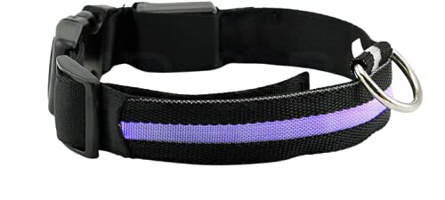 NEO+ UK Verbesserte Hund Sichtbarkeit & Sicherheit USB Wiederaufladbares LED Safety Dog Halsband. Ultrahelle LED 's. An Geräte. Hund Wird mehr sichtbar & Sicher (EXTRA Gross - XL, SCHWARZ) von NEO+
