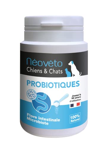 NEOVETO – Probiotika – Profi-Pulver und Präbiotika für Hunde und Katzen – 90 Löffel – Vom französischen Veterinärdienst zugelassene Wirkstoffe Einfache Verabreichung von NEOVETO