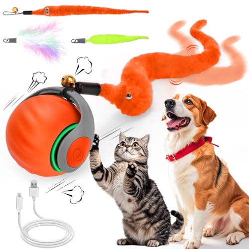 Interaktives Katzenball Spielzeug, Elektrisch Katzenspielzeug Ball interaktives Spielzeug mit Schwanz für Katzen Katzenspielzeug Selbstbeschäftigung,Über USB Wiederaufladbares(Short Tail) orange von NEOVSUNY