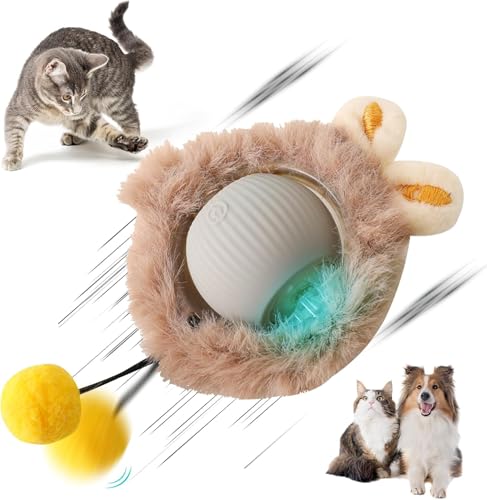 Katzenspielzeug Selbstbeschäftigung, Interaktives Katzenspielzeug Katzenball Elektrisch Aufladen über USB Magic Ball Hund Automatisch Rollende Katzenbälle,Interaktiver Spielball mit Schwanz für Katzen von NEOVSUNY