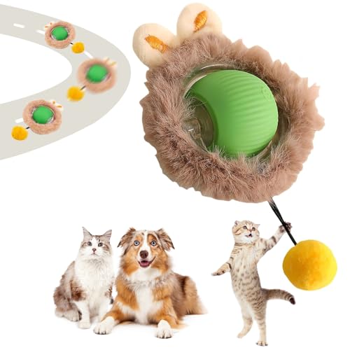 Katzenspielzeug Selbstbeschäftigung, Interaktives Katzenspielzeug Katzenball Elektrisch Aufladen über USB Magic Ball Hund Automatisch Rollende Katzenbälle,Interaktiver Spielball mit Schwanz für Katzen von NEOVSUNY