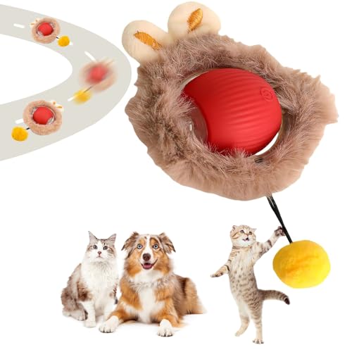 Katzenspielzeug Selbstbeschäftigung, Interaktives Katzenspielzeug Katzenball Elektrisch Aufladen über USB Magic Ball Hund Automatisch Rollende Katzenbälle,Interaktiver Spielball mit Schwanz für Katzen von NEOVSUNY