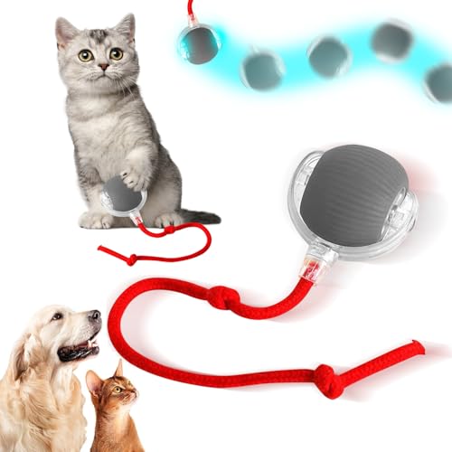 Interaktives Katzenspielzeug Katzenball,Katzenspielzeug Elektrisch Katzenball,Interaktives Katzenball Spielzeug,mit LED Licht mit Seil,USB Wiederaufladbarer Katzen Spielzeug Kitten Selbstbeschäftigung von NEOVSUNY