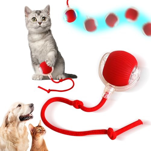 Interaktives Katzenspielzeug Katzenball,Katzenspielzeug Elektrisch Katzenball,Interaktives Katzenball Spielzeug,mit LED Licht mit Seil,USB Wiederaufladbarer Katzen Spielzeug Kitten Selbstbeschäftigung von NEOVSUNY