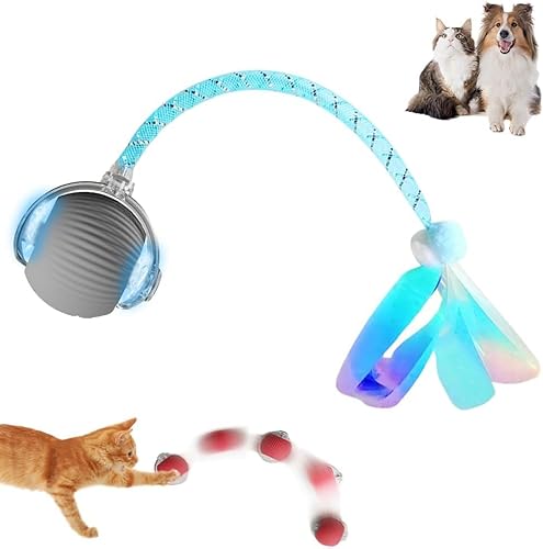 Interaktives Katzenspielzeug, Interaktiver Spielball mit Schwanz für Katzen, Intelligentes Katzenspielzeug Wiederaufladbar Automatisches Elektrisches Spielzeug für Katzen und Hunde Chewie Rolling Ball von NEOVSUNY