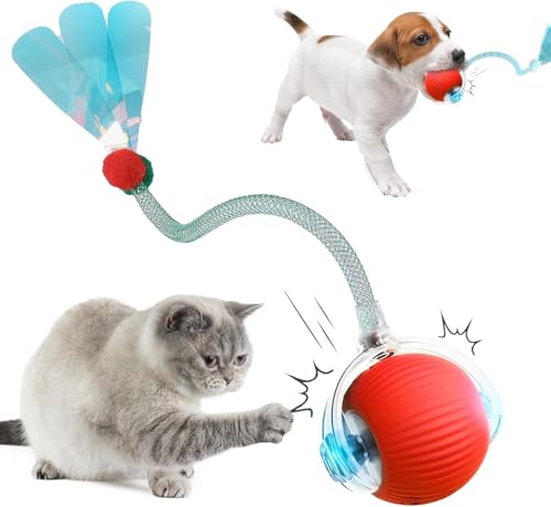 Interaktives Katzenspielzeug,Katzenball Spielzeug Elektrisch,Intelligentes Katzenspielzeug Wiederaufladbar,Automatischer Katzenball Interaktiver Spielball mit Schwanz für Katzen und Hunde Innenbereich von NEOVSUNY