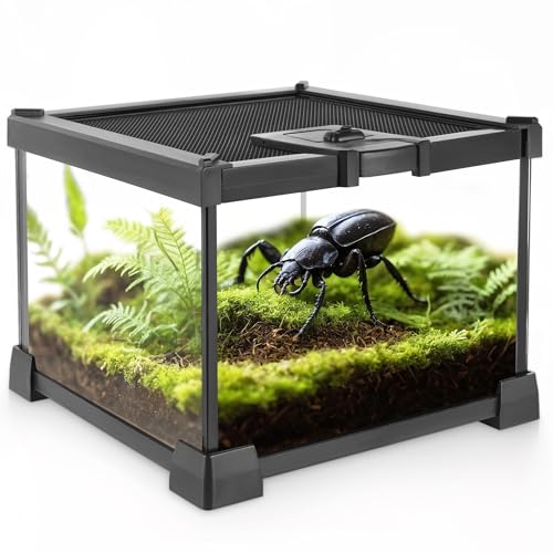 NEPTONION Mini-Reptilien-Glas-Terrarium, 20 x 20 x 14.5 cm, Vollsicht-Tank, kleine Amphibien, Glas-Lebensraum, Käfig mit Futterschlitz und Kastenschloss von NEPTONION