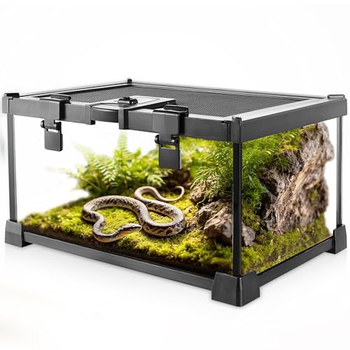 NEPTONION Mini-Reptilien-Glas-Terrarium, 30 x 20 x 14.5 cm, Vollsicht-Tank, kleine Amphibien, Glas-Lebensraum, Käfig mit Futterschlitz und Kastenschloss NEPTONION Mini-Reptilien-Glas-Terrarium, 30 x 20 x 14.5 cm, Vollsicht-Tank, kleine Amphibien, Glas-Lebensraum, Käfig mit Futterschlitz und Kastenschloss von NEPTONION