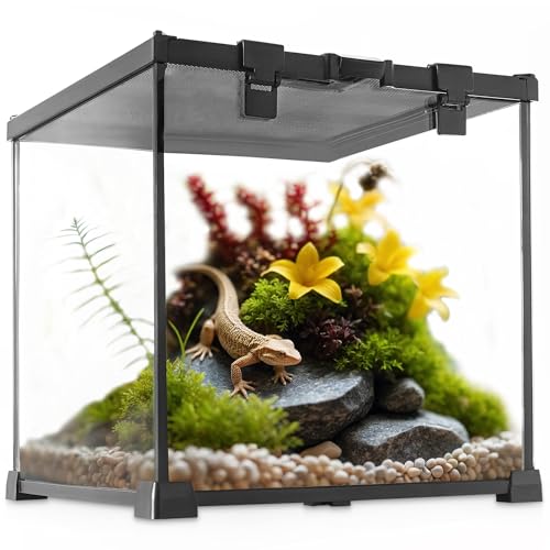 NEPTONION Mini-Reptilien-Glas-Terrarium, 30 x 30 x 30 cm, Vollsicht-Tank, kleine Amphibien, Glas-Lebensraum mit Futterschlitz und Kastenschlossschnalle NEPTONION Mini-Reptilien-Glas-Terrarium, 30 x 30 x 30 cm, Vollsicht-Tank, kleine Amphibien, Glas-Lebensraum mit Futterschlitz und Kastenschlossschnalle von NEPTONION