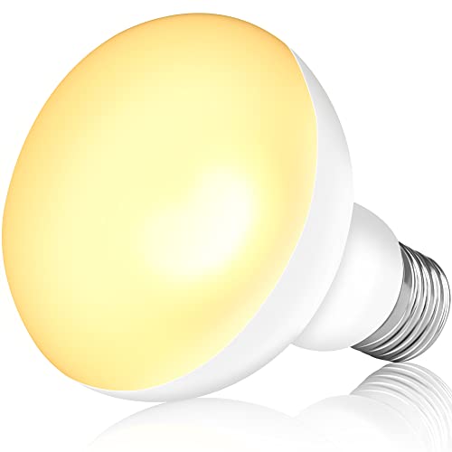 NEPTONION Reptilienwärmelampe, 100W UV-Wärmelampe, Tageslicht-Spotlampe für Eidechsen, Schildkröten, Bartagamen (E26, 220V),1 Pack von NEPTONION