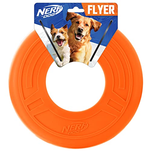 Nerf Atomic Flyer Hundespielzeug – Bright Blau von NERF