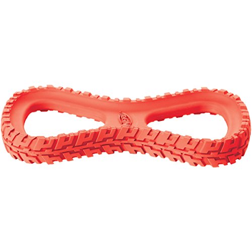 Nerf Dog 25,4 cm Reifen Infinity Tug stabiles Hundespielzeug von NERF